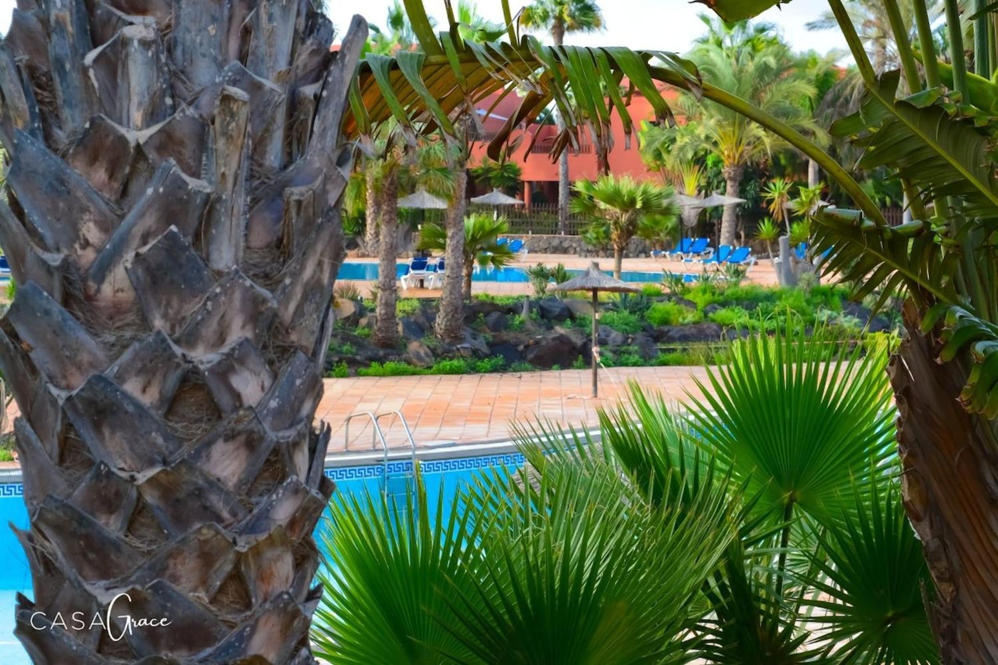 Tamarindo 1 Casa Grace Wifi Free Pool View By Rentalfue Corralejo Eksteriør billede